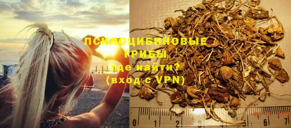 герыч Верхний Тагил