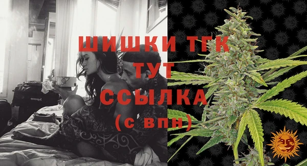 прущий лед Верея