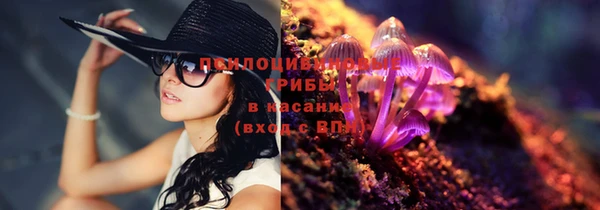 прущий лед Верея