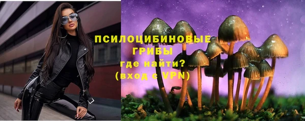 прущий лед Верея