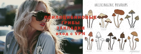 герыч Верхний Тагил